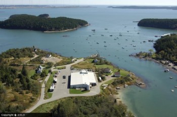 bucks harbor from air – Town of Machiasport, Maine