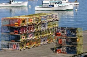 machiasport lobstermen